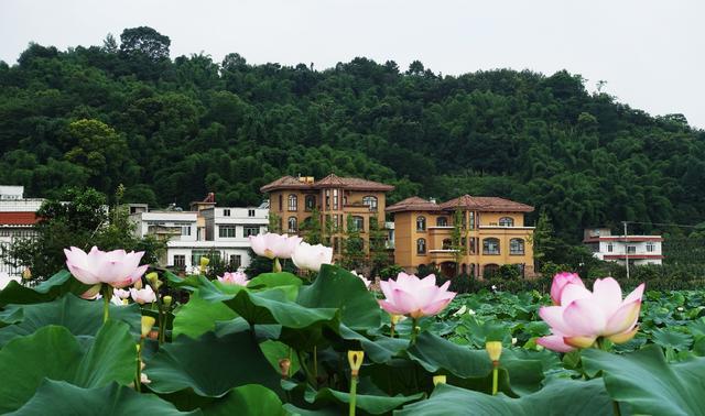 幸福江阳•举杯世界系列报道之一：江阳区探索“旅游+”产业融合