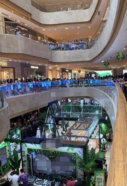 虞书欣小号发文频繁，粉丝激烈抗议反而不吭声