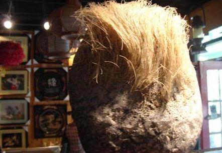 农民捡到一长满白发的石头，专家鉴定后，立马封锁整个村子