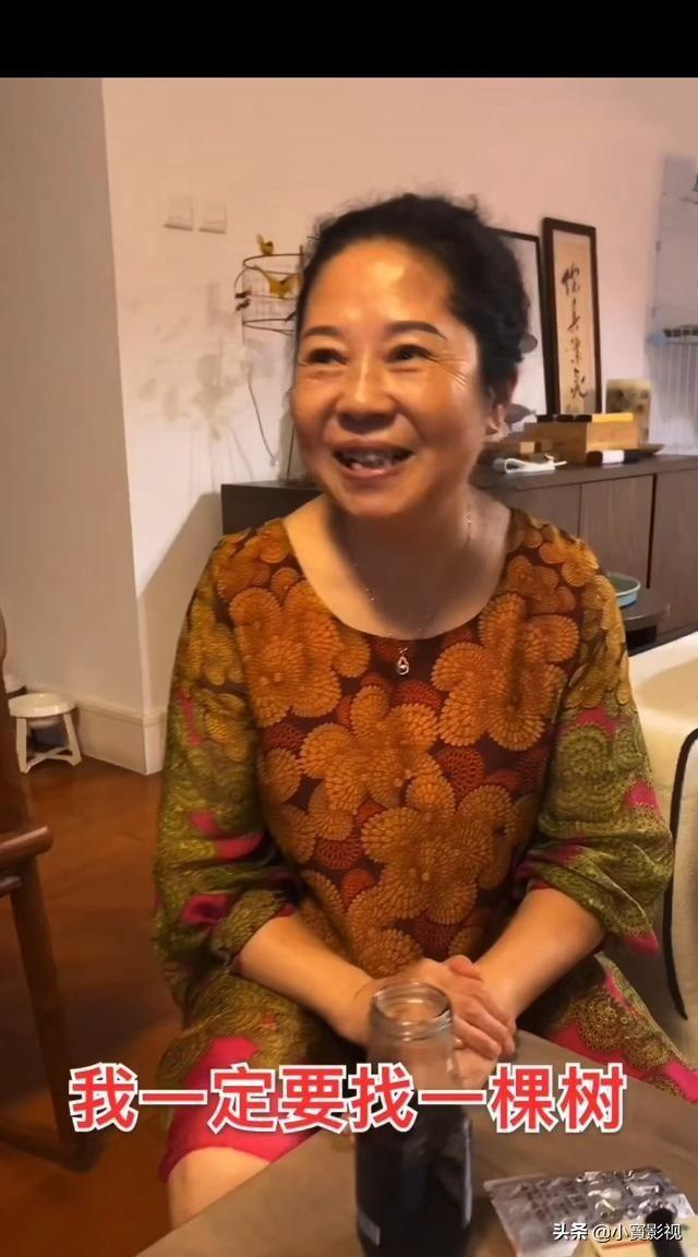 隐秘|杨迪妈妈评隐秘的角落 杨迪苦笑发文称请《隐秘的角落》还我清白