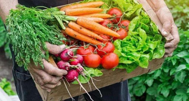 澳大利亚还未吸取教训，再次对中国做出过分举动，这次绝不容忍