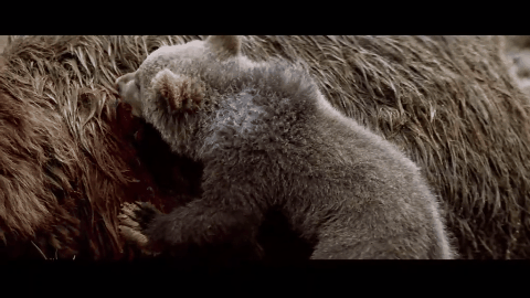 ����9.1�֣���ʵ�¼��ı࣬�ⲿ���ص�Ӱ���ҿ�һ�ο�һ��