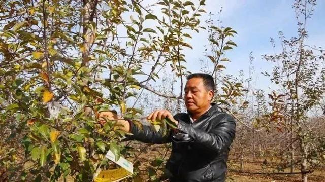 透视3个案例，告诉你如何找到科学种植的突破口，赶紧上车