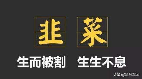 中国股市：一生做“韭菜”的十大恶习！你有吗