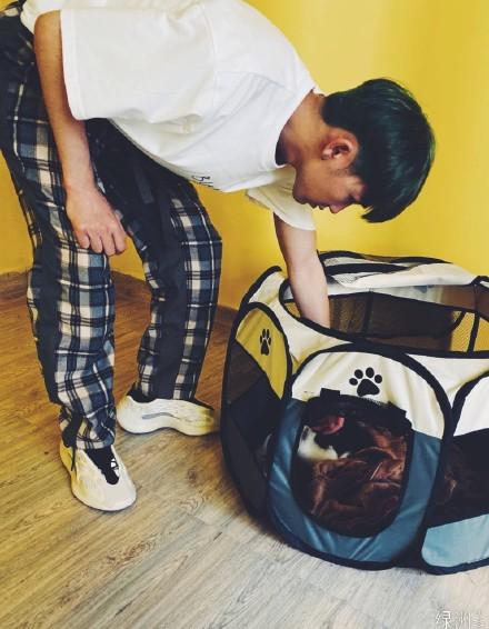 【赵小棠】陈顺否认与赵小棠恋情传闻 大家都是单身狗