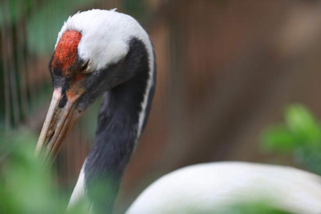 中国人脸识别第一案开庭！要脸还是要安全