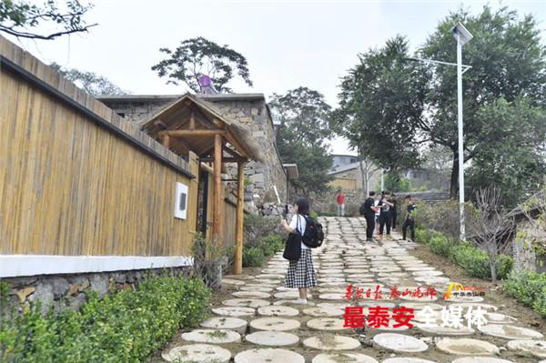 深山岭变网红村泰安八楼村乡村振兴的生动实践