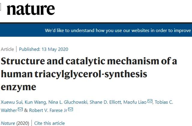 连发两篇Nature！颜宁团队在结构领域取得重大进展