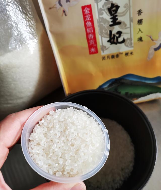 煲仔饭在家做用料实在方法简单，饭香锅巴酥脆，菜肉搭配营养均衡