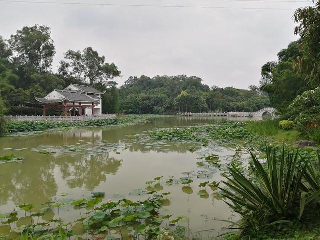 夏天来了，到南宁市里的这个天然氧吧，走花路