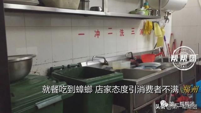 在菜里吃出“油炸蟑螂”，拍视频又惊现活蟑螂