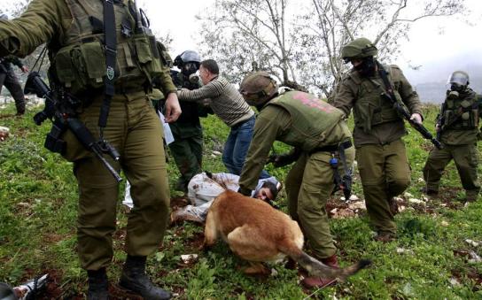 以色列和美国相互勾结，灾难日前使阴招，遭巴