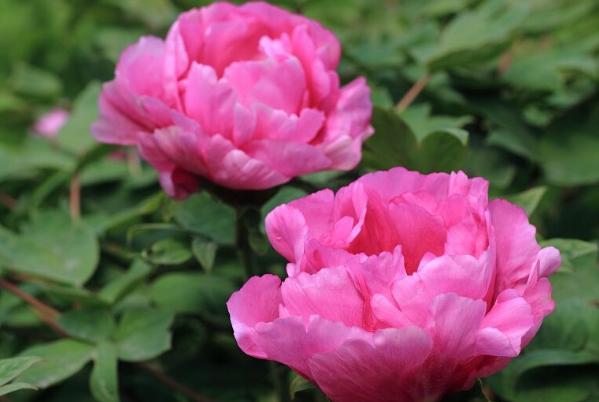 人到中年一事无成，感到茫然无助时，熟读这3句