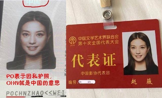 赵薇回应国籍惹争议，其实这8个新生代明星都是外国国籍