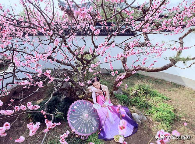 美文：三生三世十里桃花，只爱你那一朵芬芳