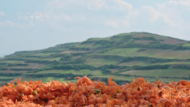 《風(fēng)味原產(chǎn)地·甘肅》今日開(kāi)播 美食視角解讀西北之美