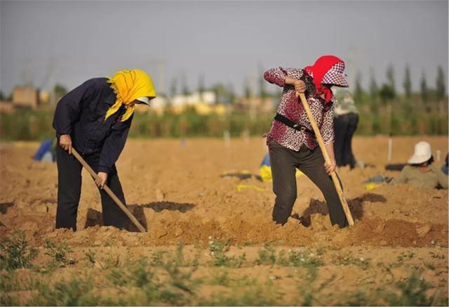 美国卫星在陕西拍到了什么？美国专家看后直呼：这绝不是中国