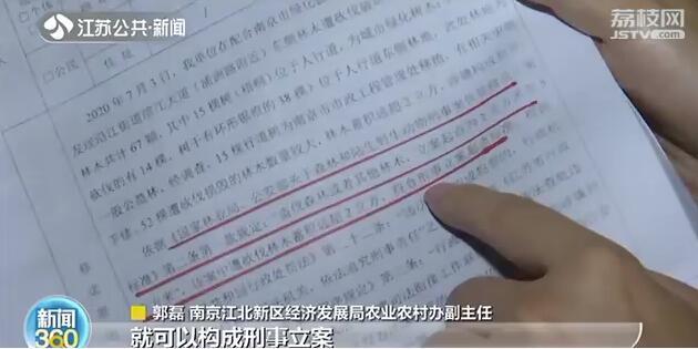 南京：&ldquo;杀害&rdquo;树木也入刑！附近居民：手段残忍