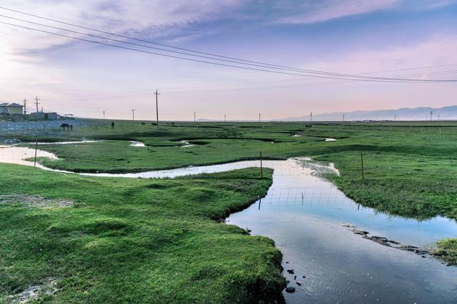 失联女学生遗骸被发现，美丽的可可西里为何被封为无人区？