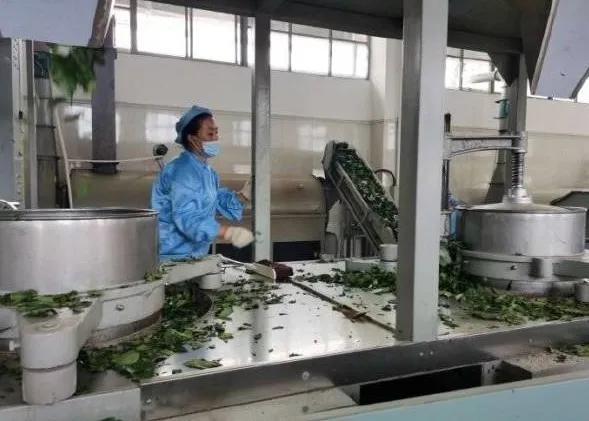 楊凌農(nóng)科，見證小康足跡——2020走出楊凌看示范活動圓滿收官