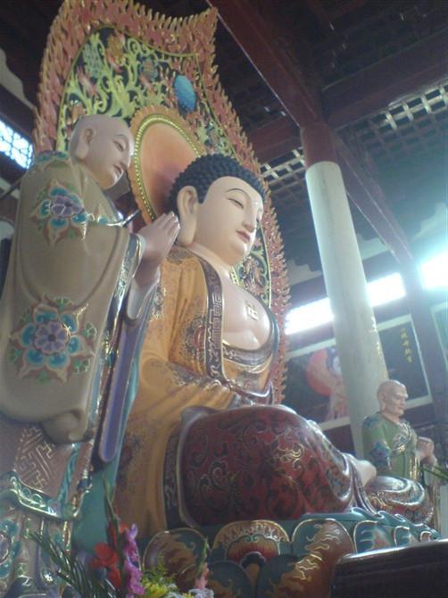 �������и�������Ĳ�����