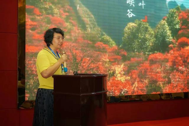 再添風采！邯鄲涉縣榮獲“中國最美生態文旅休閑縣”榮譽稱號