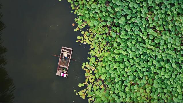 弘扬中医药文化 助力健康中国-山东有线享TV精彩纪录片引领我们走进中医药，选择相信并使用中医药！