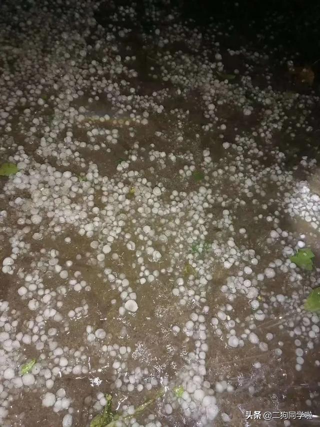 昨晚，山东14市遭遇冰雹天气！最大鸡蛋个头等于