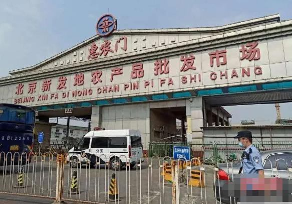 中国进口的三文鱼主要来自哪些国家？现在能不