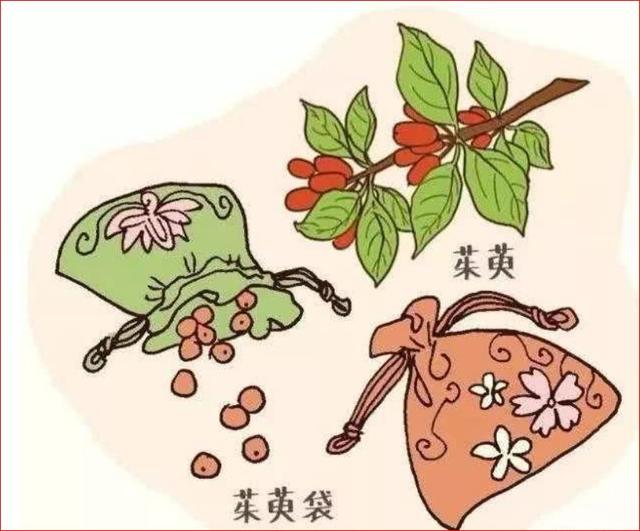 落叶小乔木,结长椭圆形核果,红色,味酸,可入药.通称"山茱萸";b.落叶