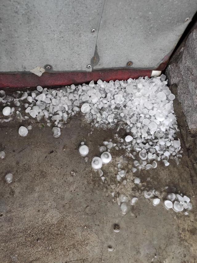 暴雨|哈尔滨突降暴雨冰雹白天变黑夜 街道瞬间边鱼塘