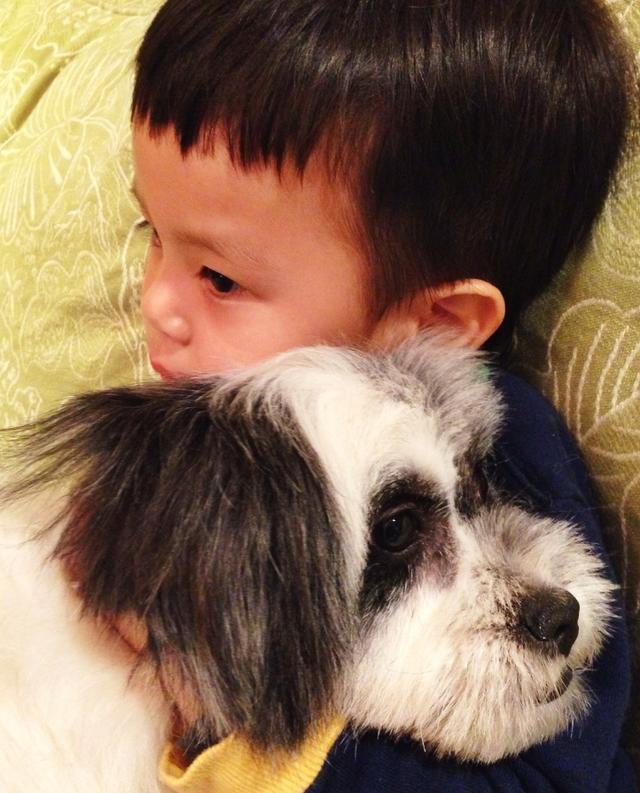 孙俪罕带儿女出席活动！搂怀里防跟拍显霸气，等等身高到妈妈肩膀