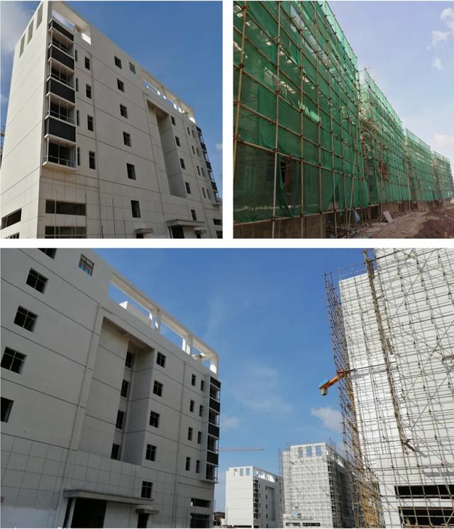 广西威壮集团2020年年中刊：抗疫情 稳发展 筑未来