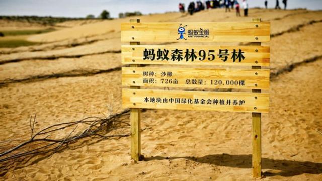 美国公布一张照片，全世界都被镇住：中国才是