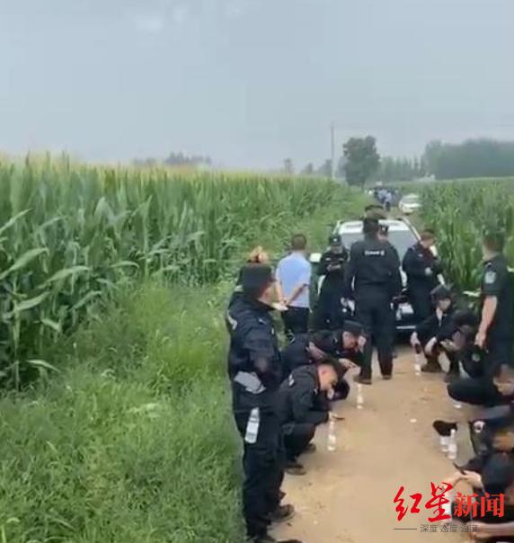 河北任丘一女孩遭绑架杀害 警方通报嫌疑人被抓