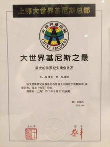 主播骚白《王者荣耀》333 连胜获得吉尼斯世界纪录认证？