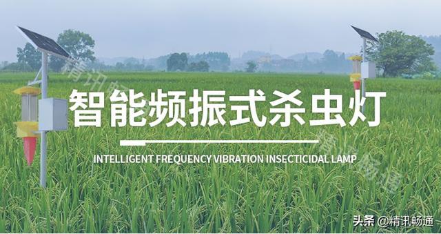 智能频振式杀虫灯监测“虫情”