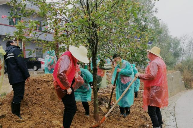 衡阳县城市和农村建设投资有限公司开展义务植树主题党日活动