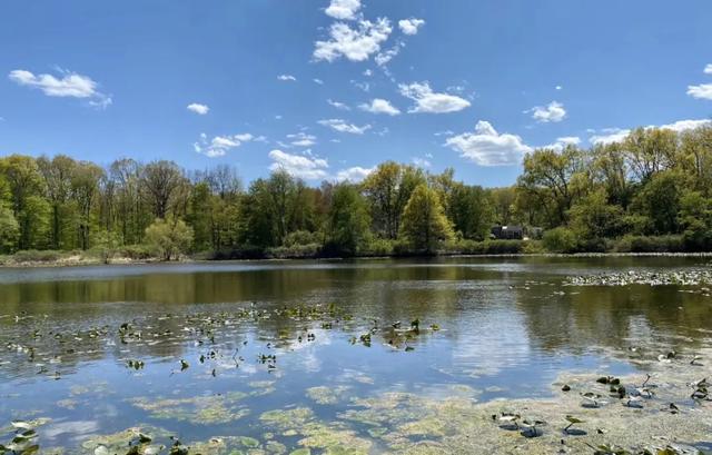 “我在美国亲历两次暴乱，身后是催泪瓦斯和橡