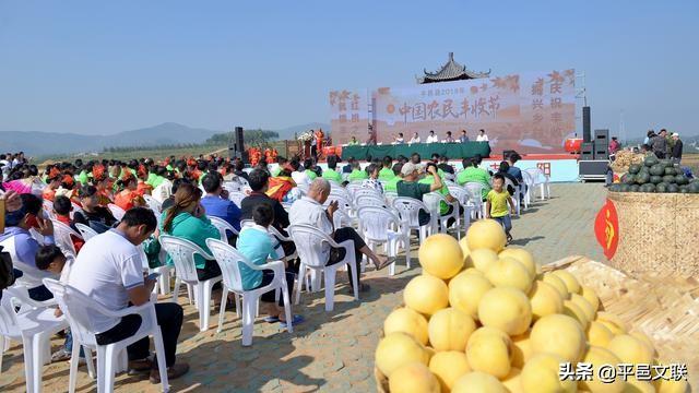 大奖等你拿！第四届“沂蒙花海、金银花乡”金银花暨农民丰收主题摄影大赛征稿开始了……