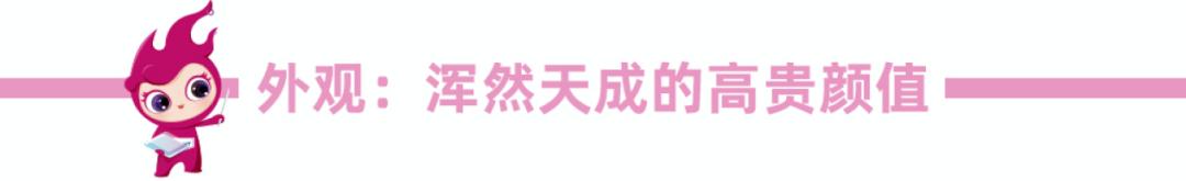 新品评测 |正泰居家2HD系列玻璃大面板开关为何如此出众？