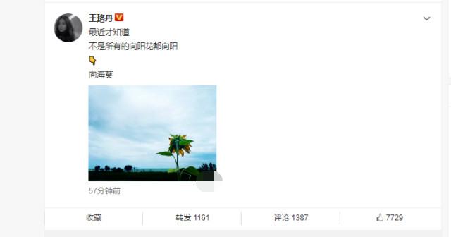 秒删|王珞丹发文秒删上热搜！内容有点幼稚引热议 早起再更文依旧消极