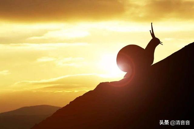 地摊时代来袭！实体店心慌脚乱，失业的有福了