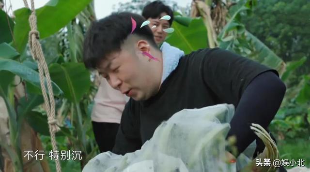 《向往4》提了四季意见，却无人采纳，黄磊也是没招了