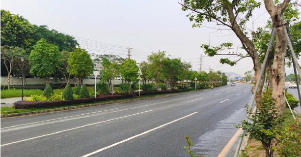 公常路主干道引绿入城，拥抱自然