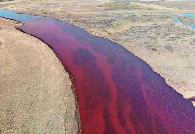 万年|西伯利亚正经历八万年一遇高温 致命病毒细菌或被释放