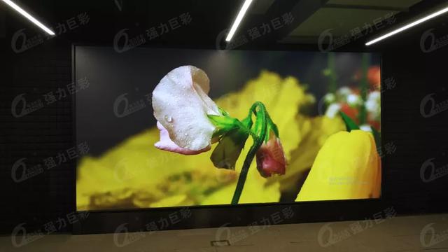 会议显示流行新风尚，快来看看