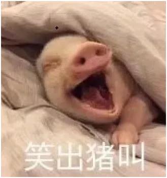 每天学点冷知识：宋代的撸猫达人究竟是谁？