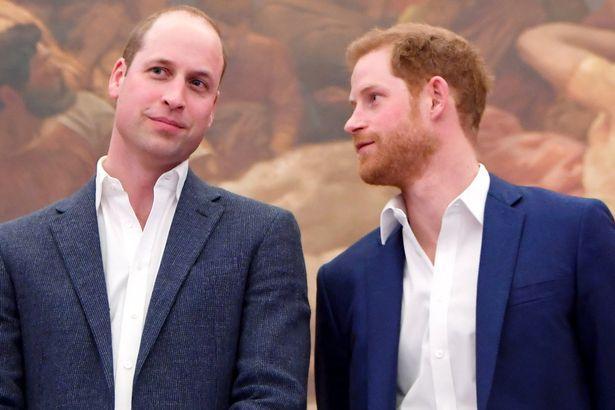 揭秘英国皇室：威廉王子和哈里王子闹翻的真实状况