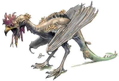 欧洲历史中的怪物鸡蛇：毒性强，用眼神就能杀